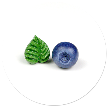 plug-in earrings blueberry and leaf